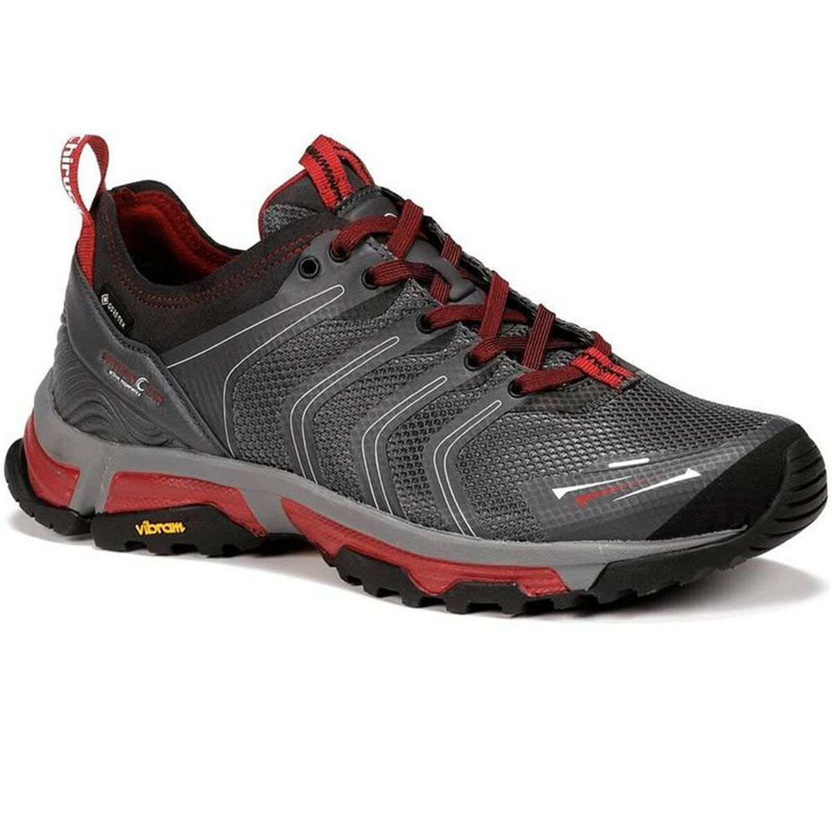 Scarpe Sportive Chiruca Bavaro 09 GORE-TEX Montagna Grigio scuro Uomo