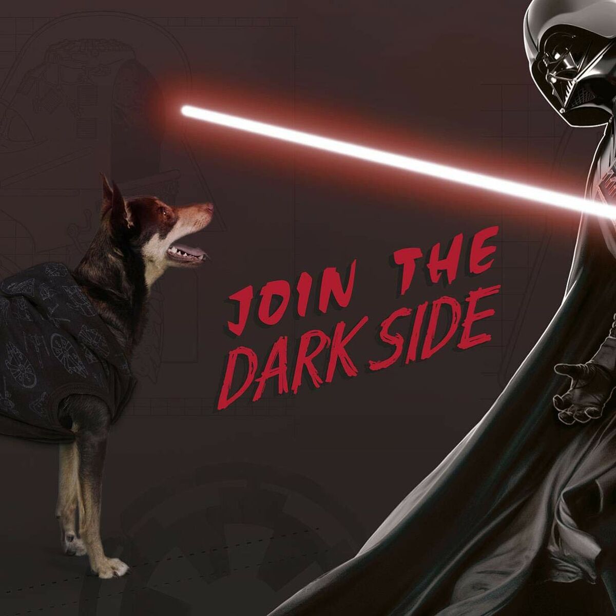 Felpa per Cani Star Wars S Nero