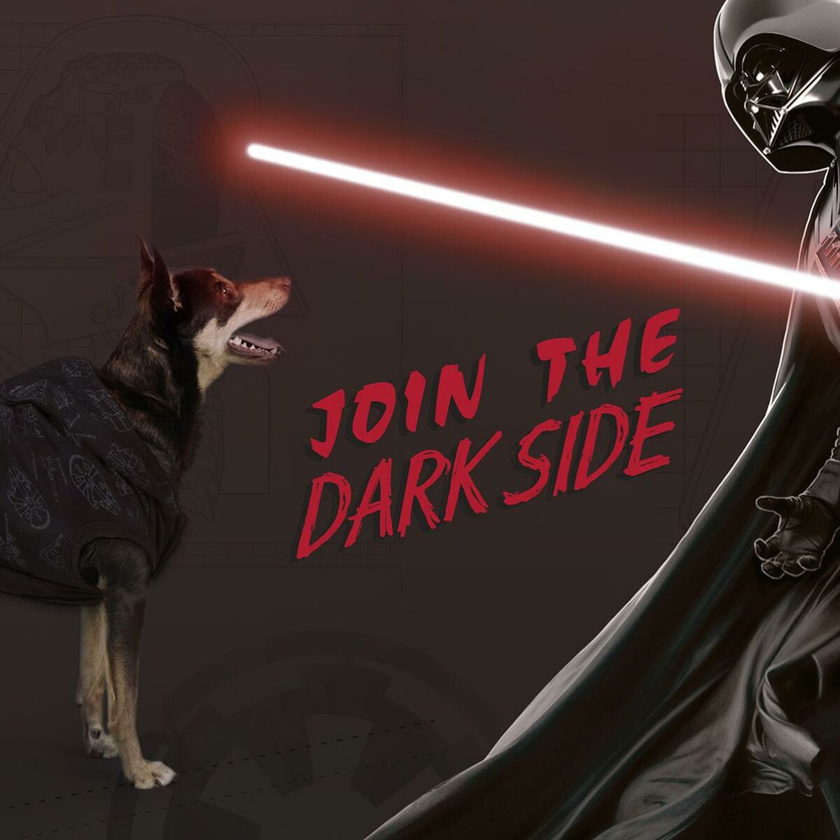 Felpa per Cani Star Wars M Nero