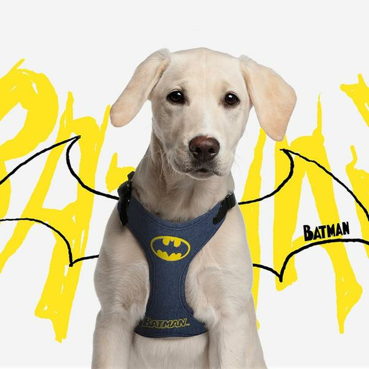 Imbracatura per Cani Batman XXS/XS Azzurro