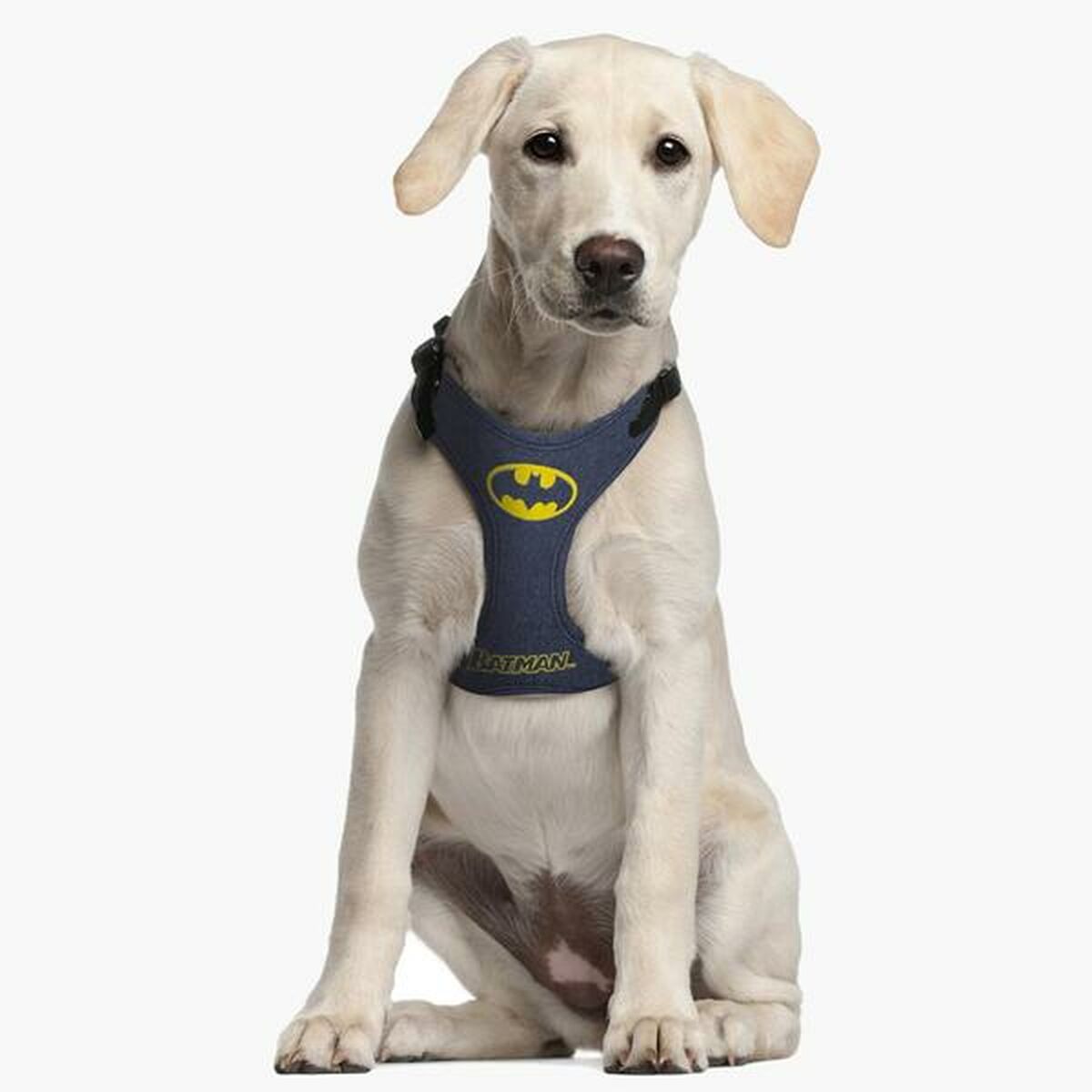 Imbracatura per Cani Batman Azzurro XS/S