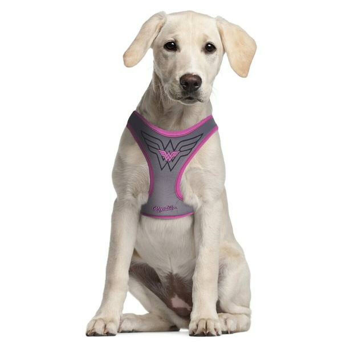 Imbracatura per Cani Wonder Woman Rosa S/M