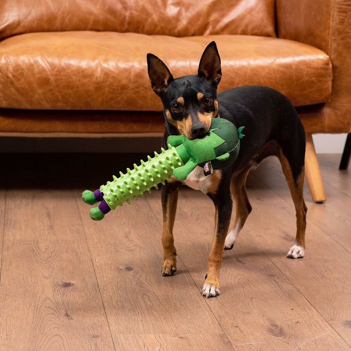 Giocattoli per cani The Avengers   Verde 100 % poliestere