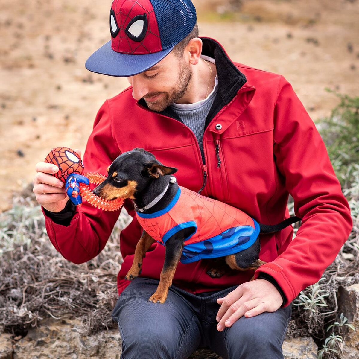 Giocattoli per cani Spider-Man   Rosso 100 % poliestere