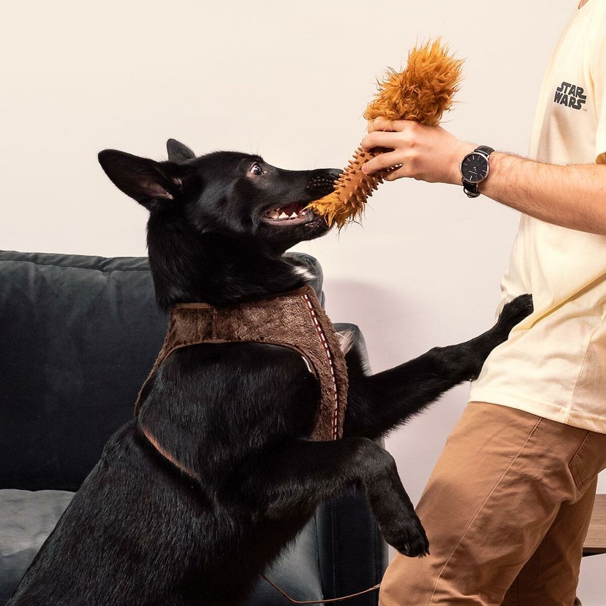 Giocattoli per cani Star Wars   Marrone 100 % poliestere