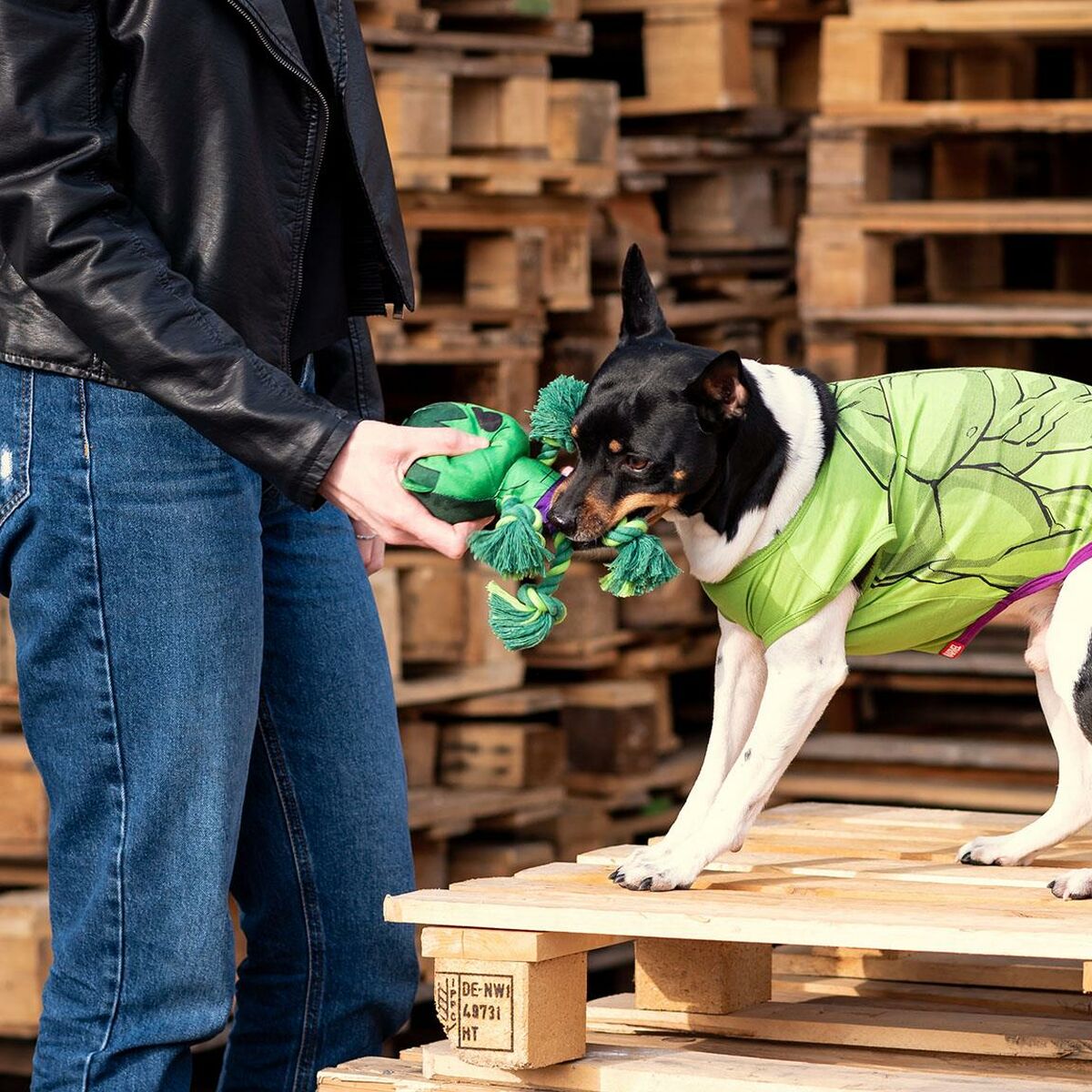 Giocattoli per cani The Avengers   Verde 100 % poliestere