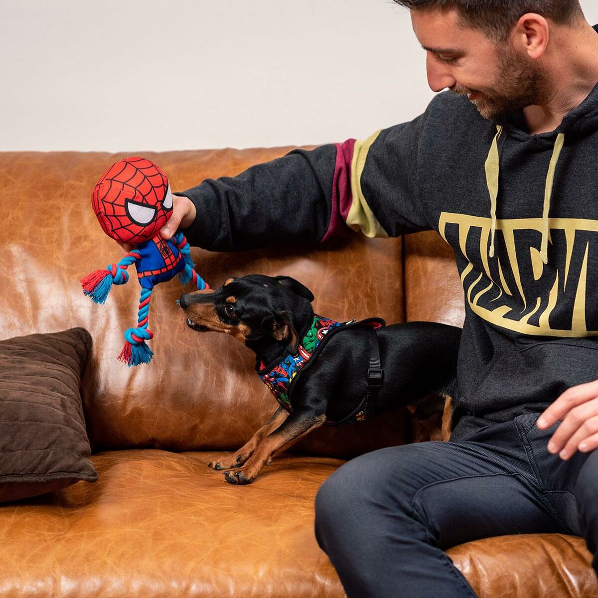 Giocattoli per cani Spider-Man Rosso