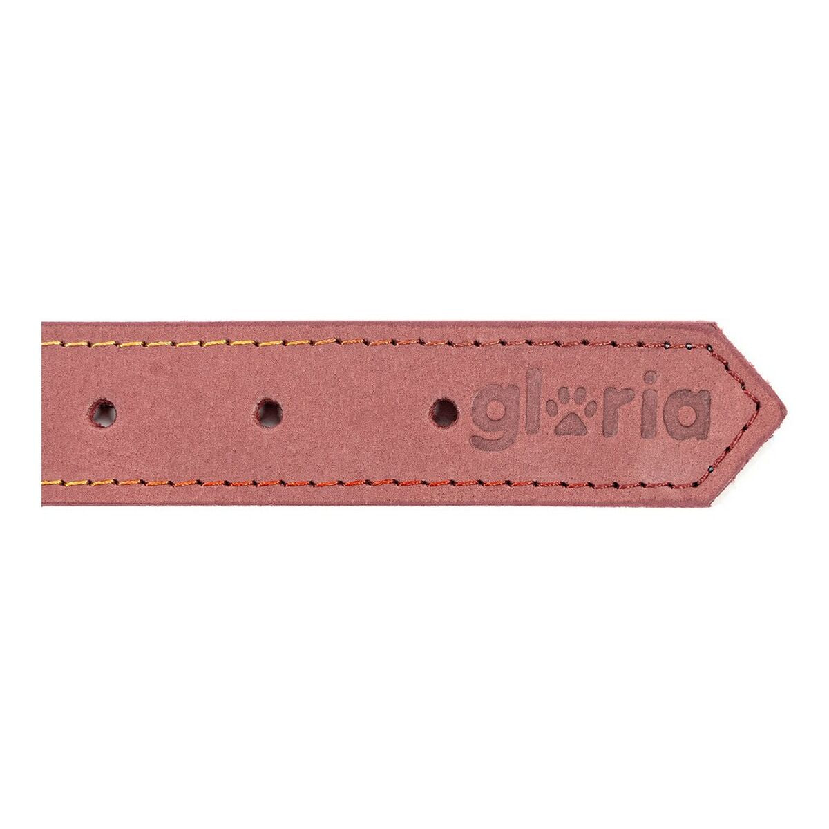 Collare per Cani Gloria Oasis Rosa (60 x 3 cm)