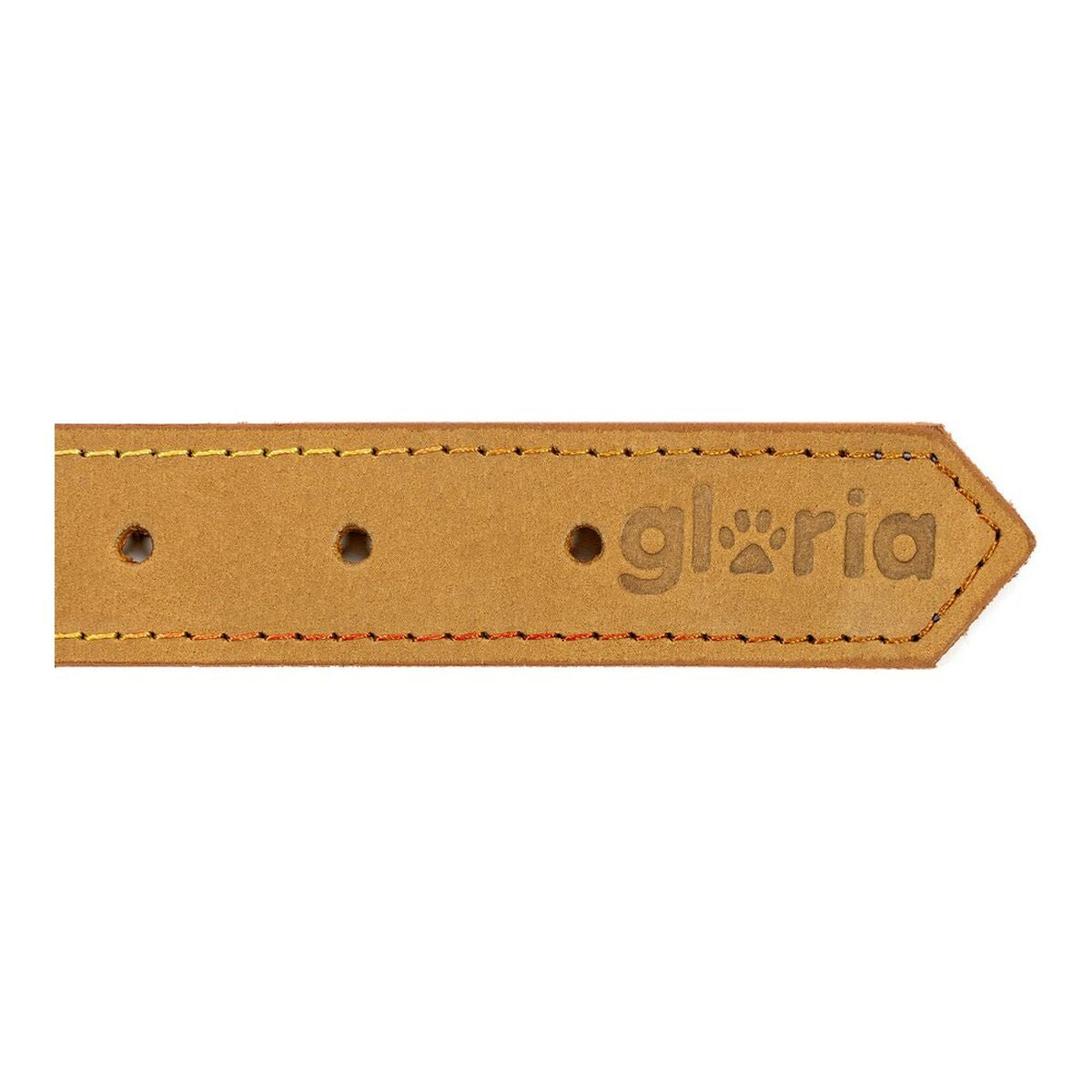 Collare per Cani Gloria Oasis Giallo (65 x 3 cm)