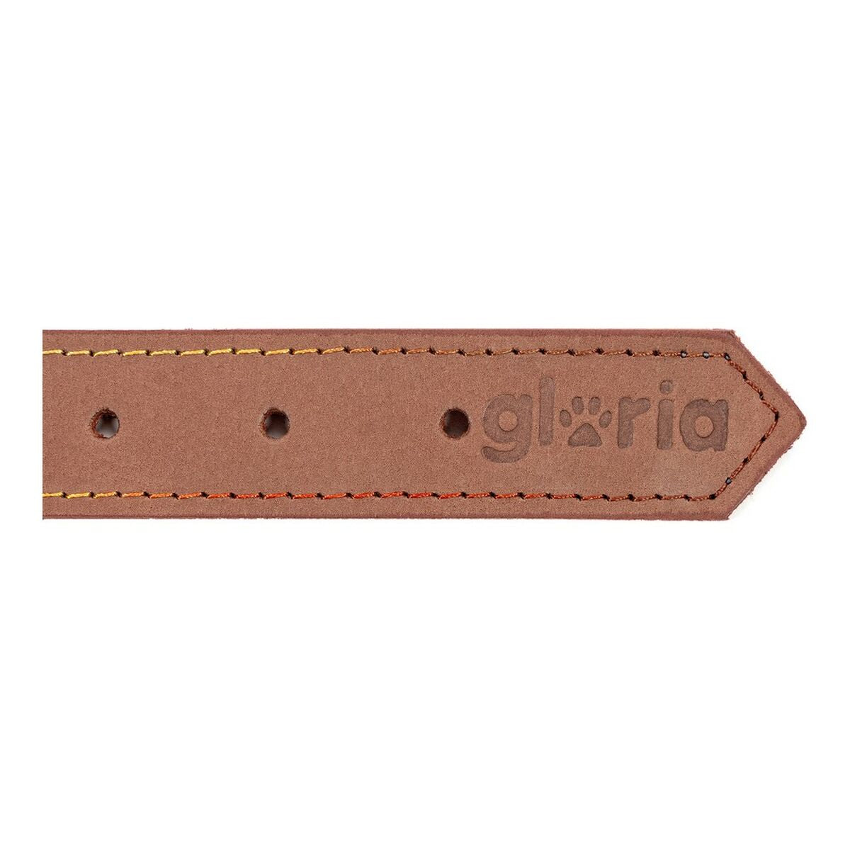 Collare per Cani Gloria Oasis Marrone (70 x 3 cm)