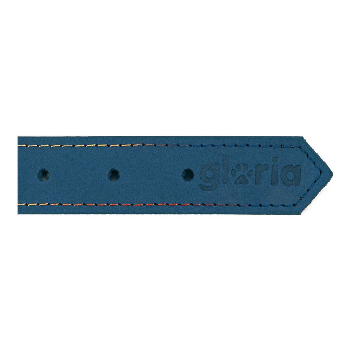 Collare per Cani Gloria Oasis Azzurro (1,2 x 35 cm)