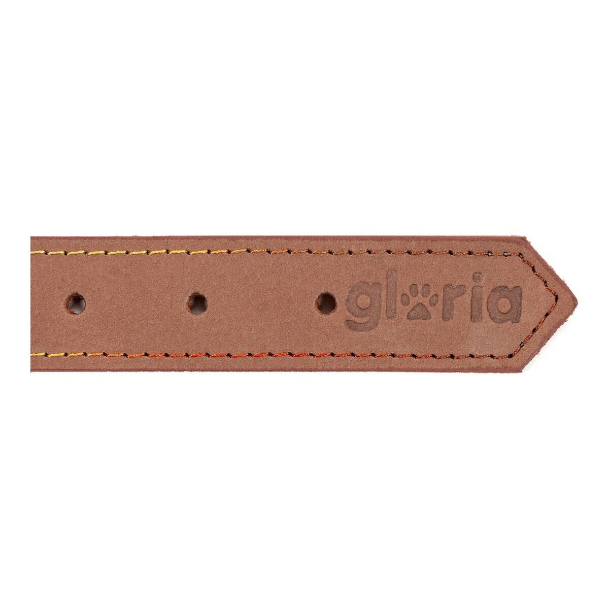 Collare per Cani Gloria Oasis Marrone (1,2 x 35 cm)