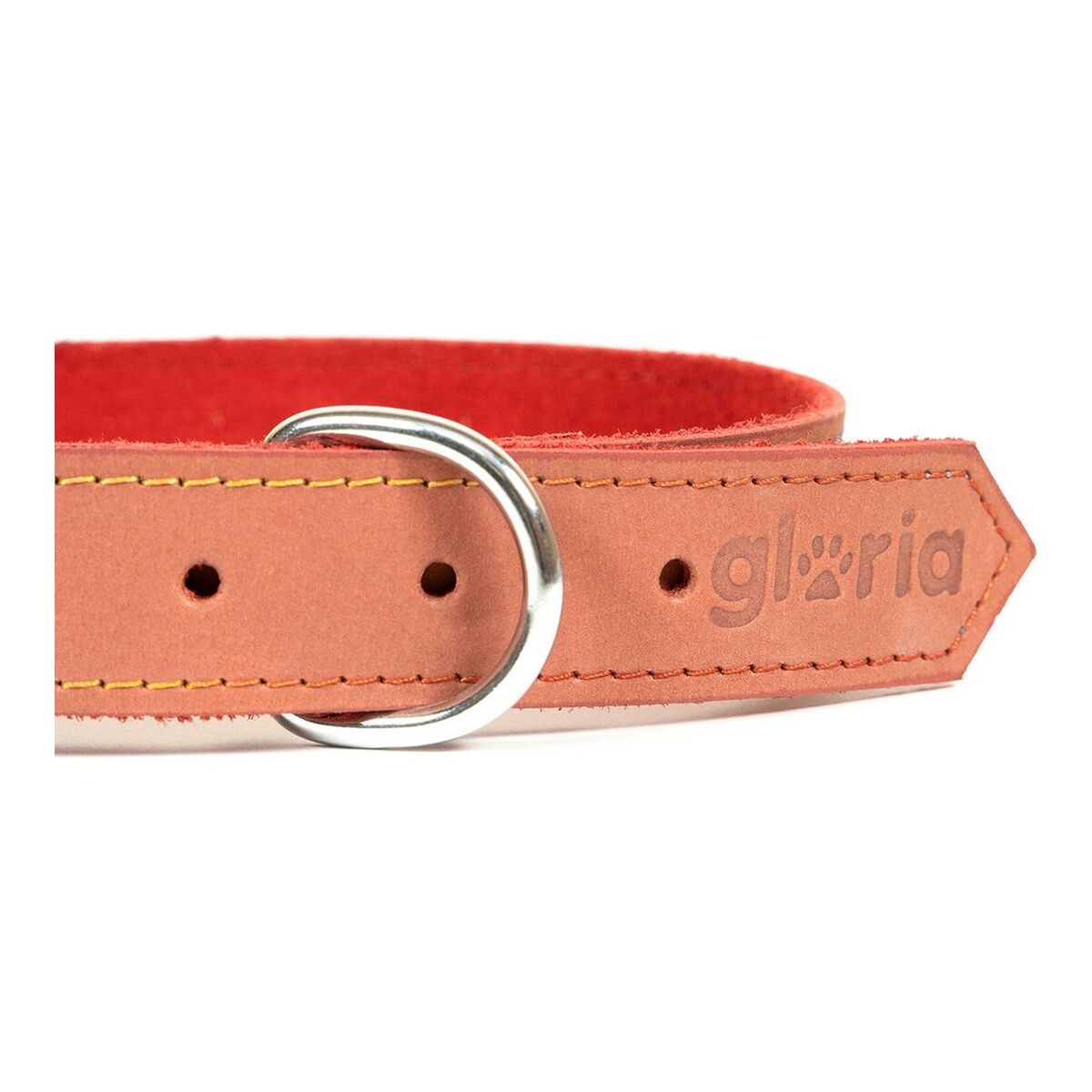 Collare per Cani Gloria Oasis Rosso (35 x 1,2 cm)