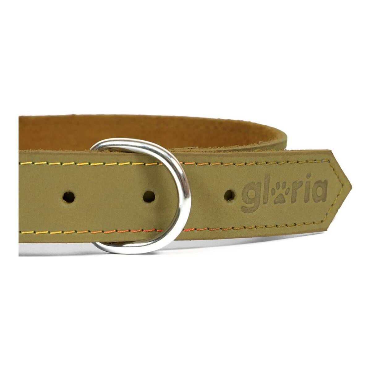 Collare per Cani Gloria Oasis Verde (35 x 1,2 cm)