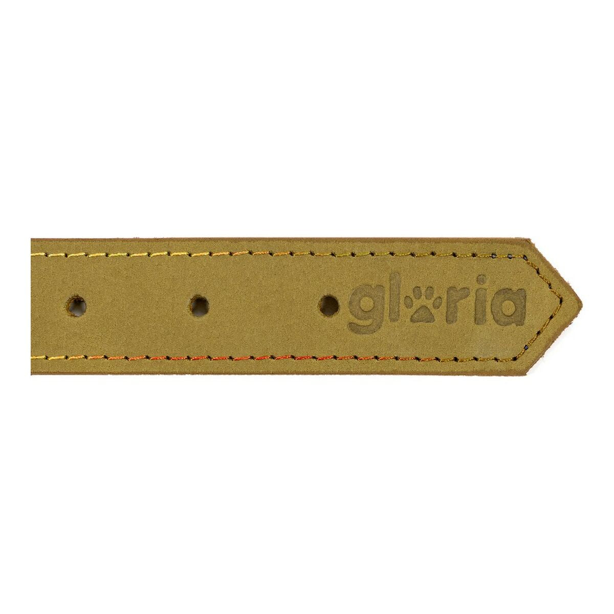 Collare per Cani Gloria Oasis Verde (35 x 1,2 cm)