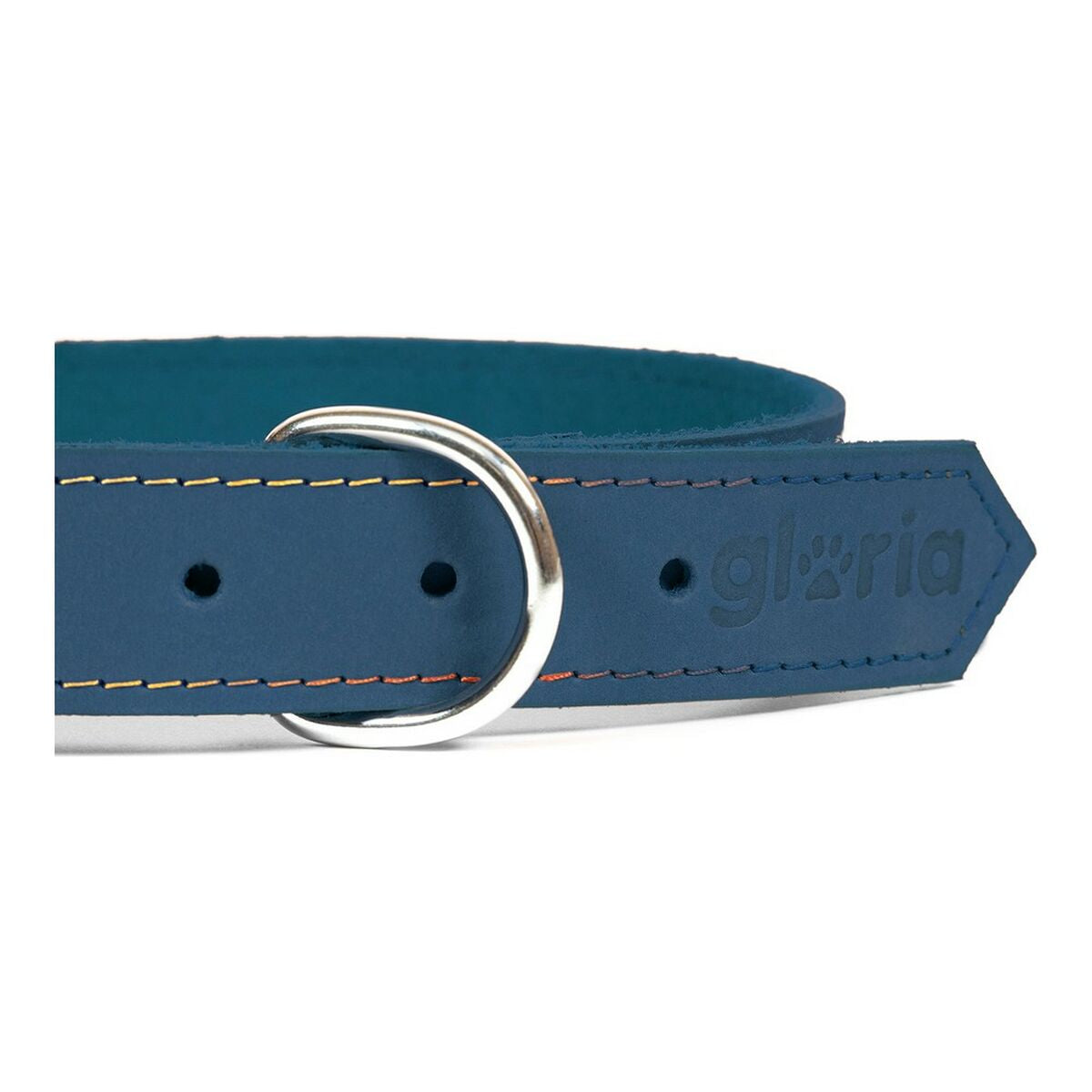 Collare per Cani Gloria Oasis Azzurro (60 x 3 cm)