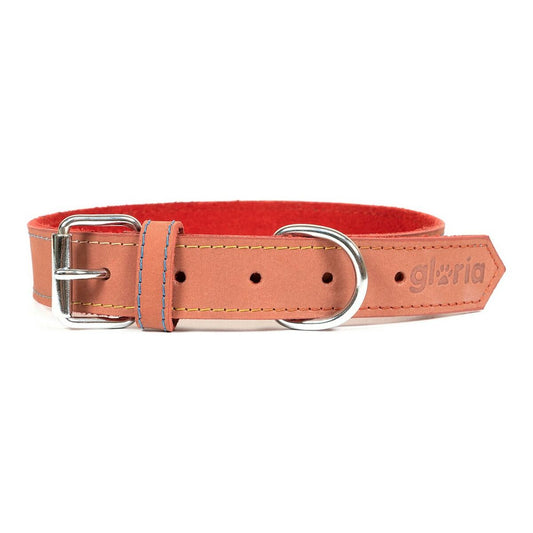 Collare per Cani Gloria Oasis Rosso (60 x 3 cm)