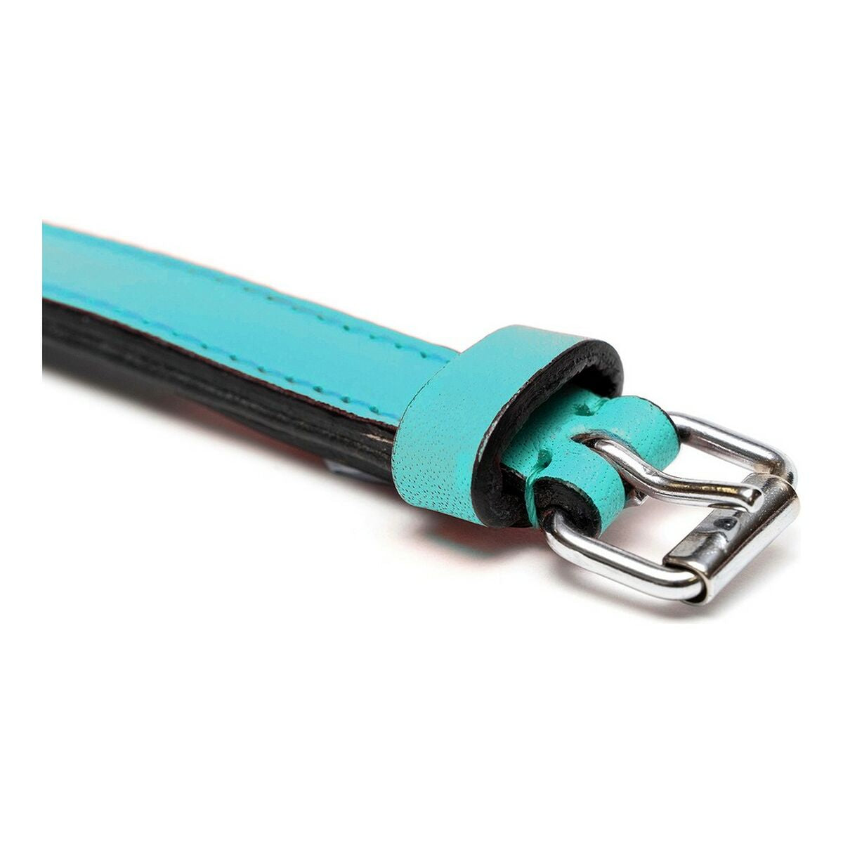 Collare per Cani Gloria Trapunta Turquoise 40 cm (40 x 2 cm)