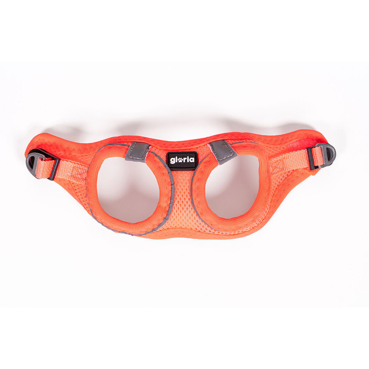 Imbracatura per Cani Gloria Trek Star 24-26 cm 28-28,6 cm Arancio XXS