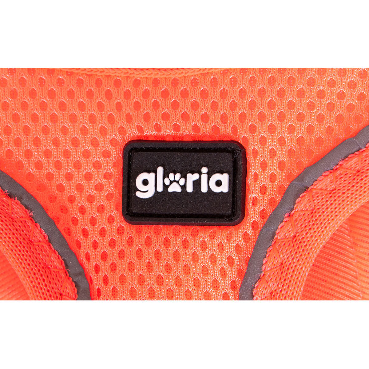 Imbracatura per Cani Gloria Trek Star 24-26 cm 28-28,6 cm Arancio XXS