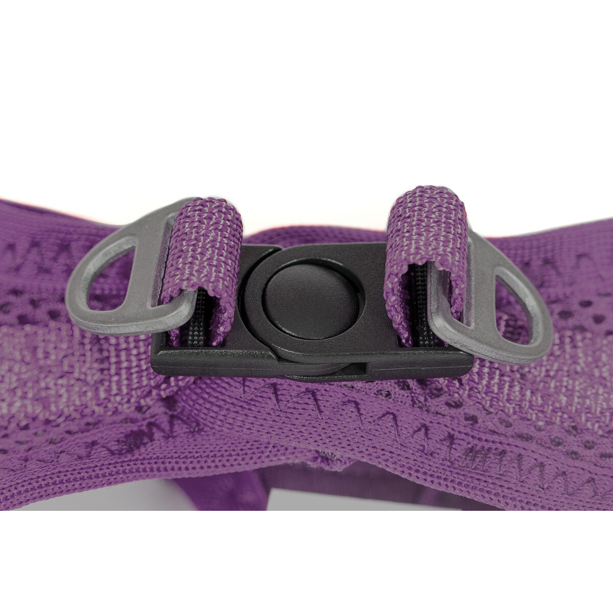 Imbracatura per Cani Gloria Trek Star 27-28 cm 31-34,6 cm Viola XS