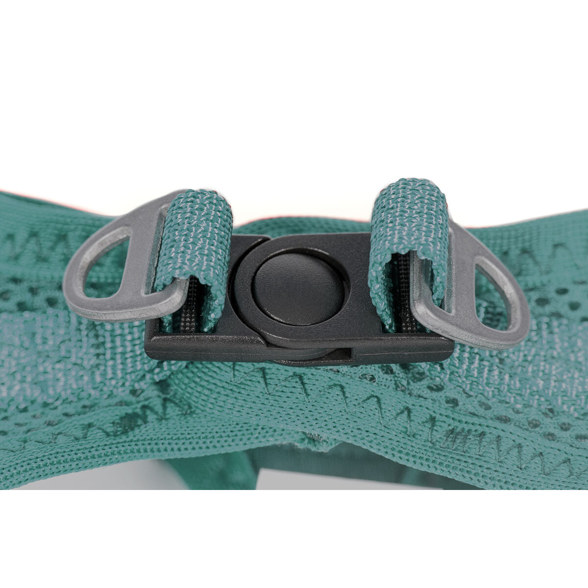 Imbracatura per Cani Gloria Trek Star 27-28 cm 31-34,6 cm Turchese XS