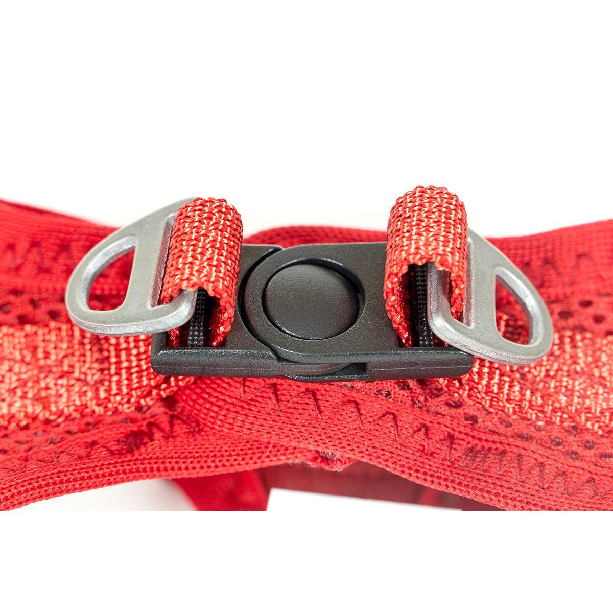 Imbracatura per Cani Gloria Trek Star 32,8-35,4 cm 45-47 cm Rosso M