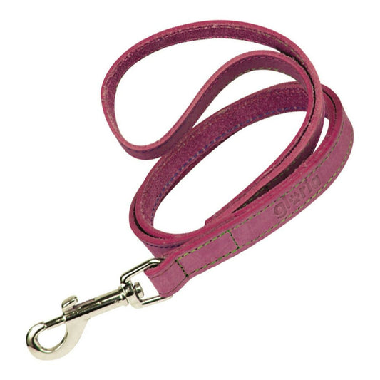 Guinzaglio per Cani Gloria Oasis 3 x 60 cm Rosa