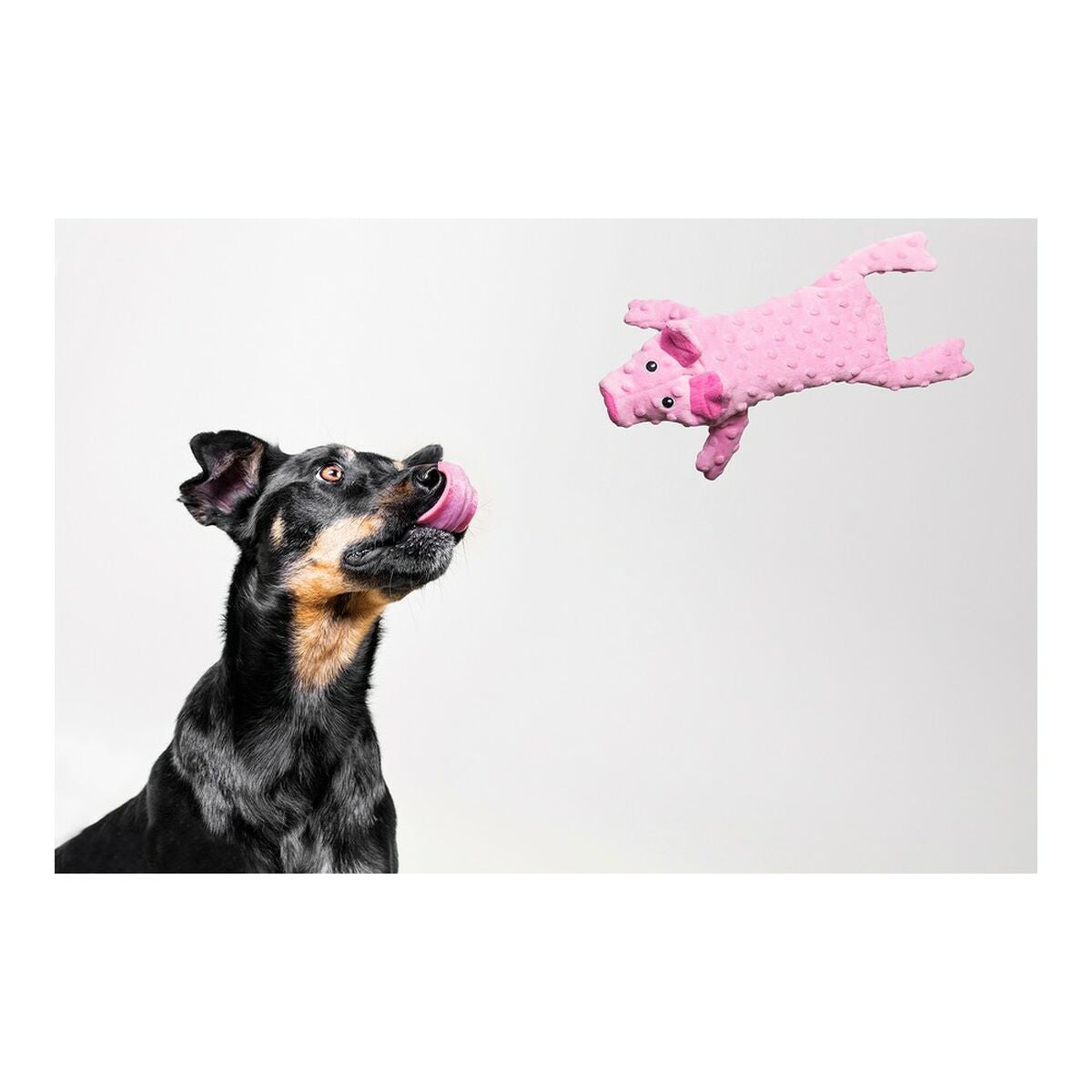 Giocattoli per cani Gloria Dogmonsters Rosa Maiale 34 x 9 cm