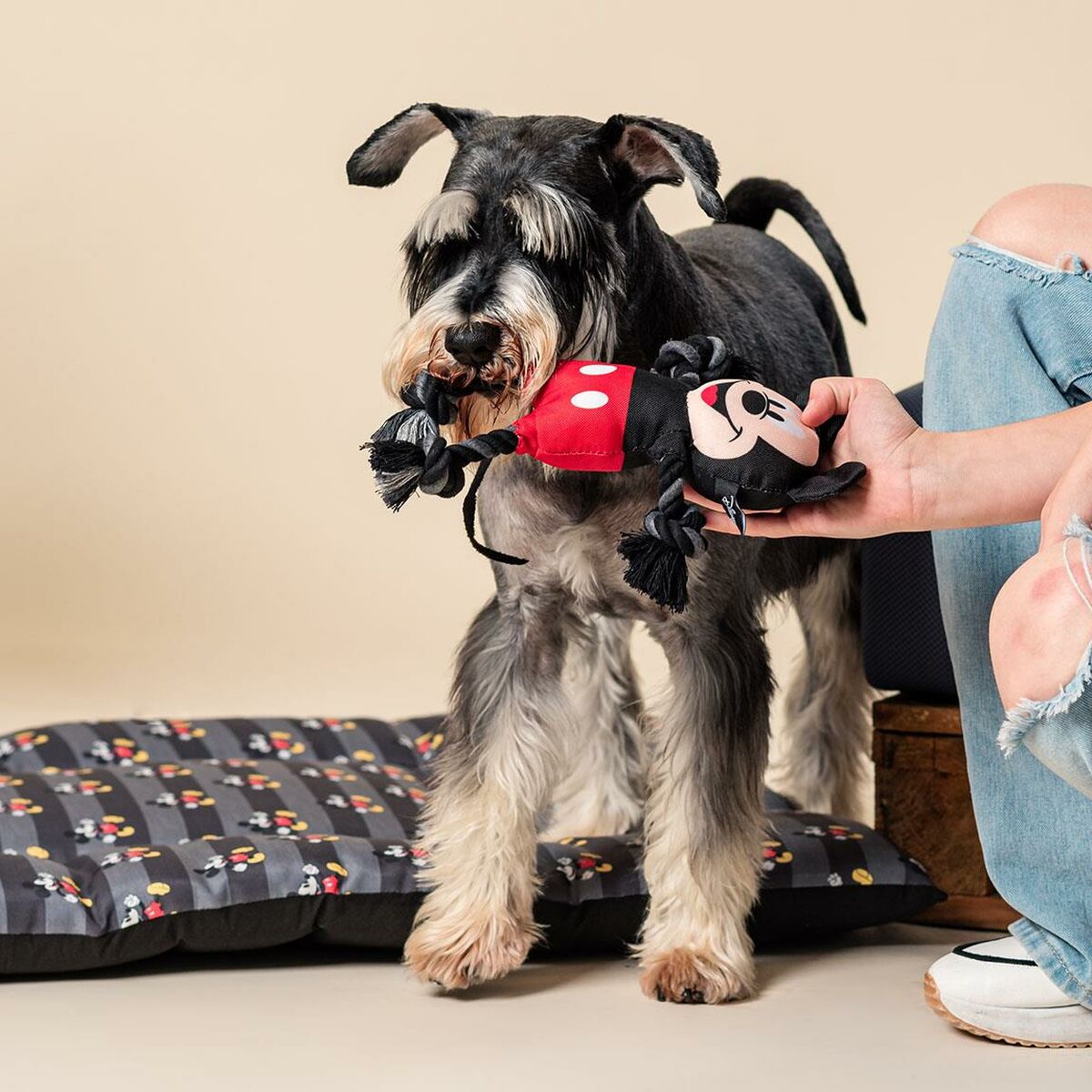 Giocattoli per cani Mickey Mouse Nero