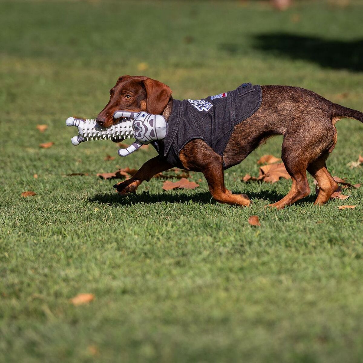 Giacca per cani Star Wars Grigio