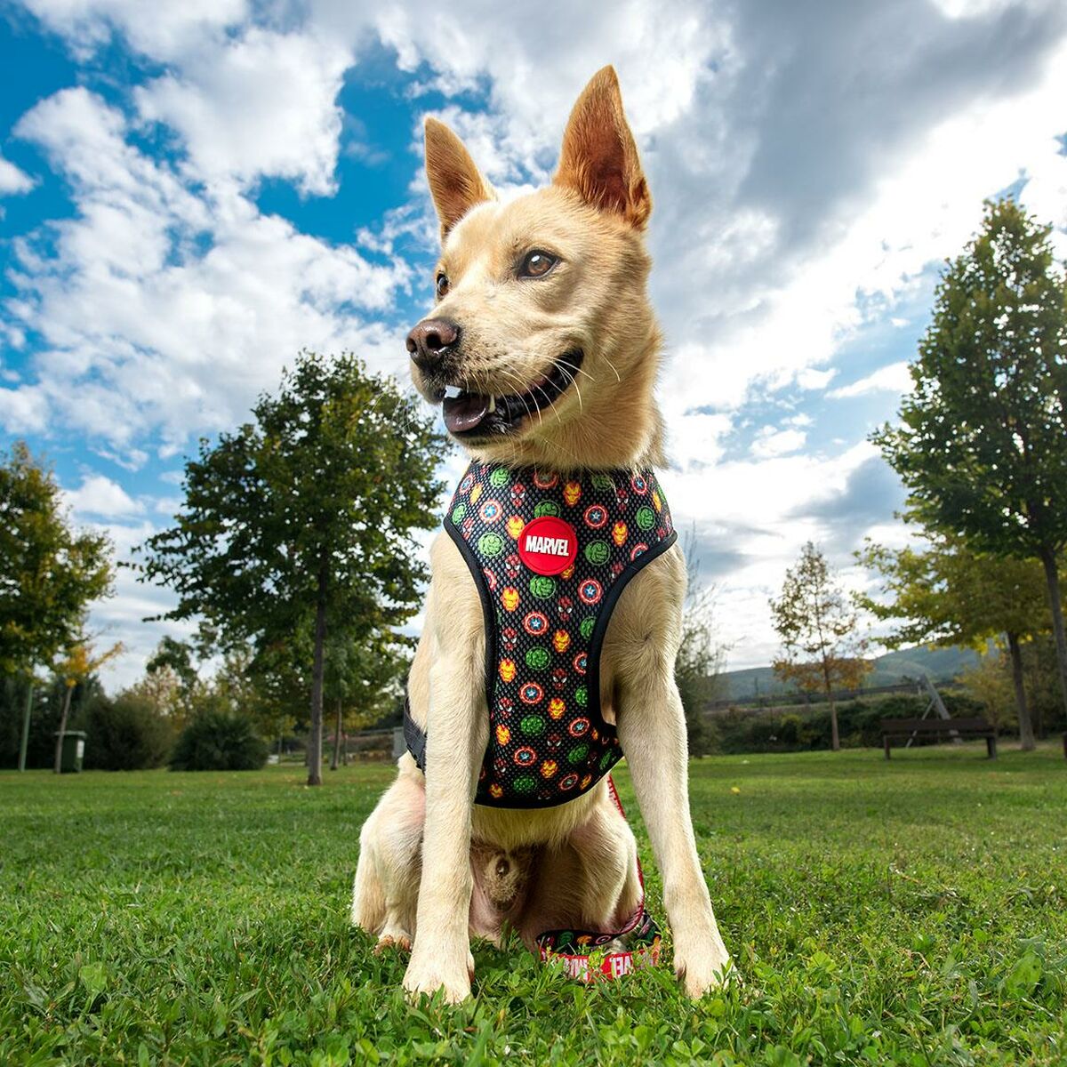 Imbracatura per Cani Marvel Reversibile Rosso XS