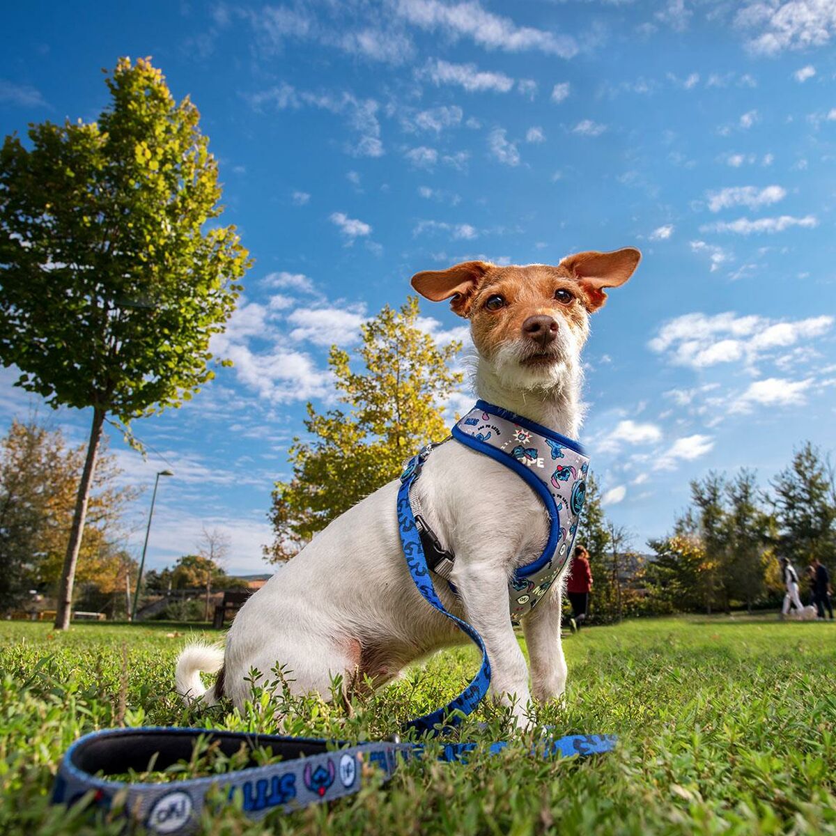 Imbracatura per Cani Stitch Blu scuro