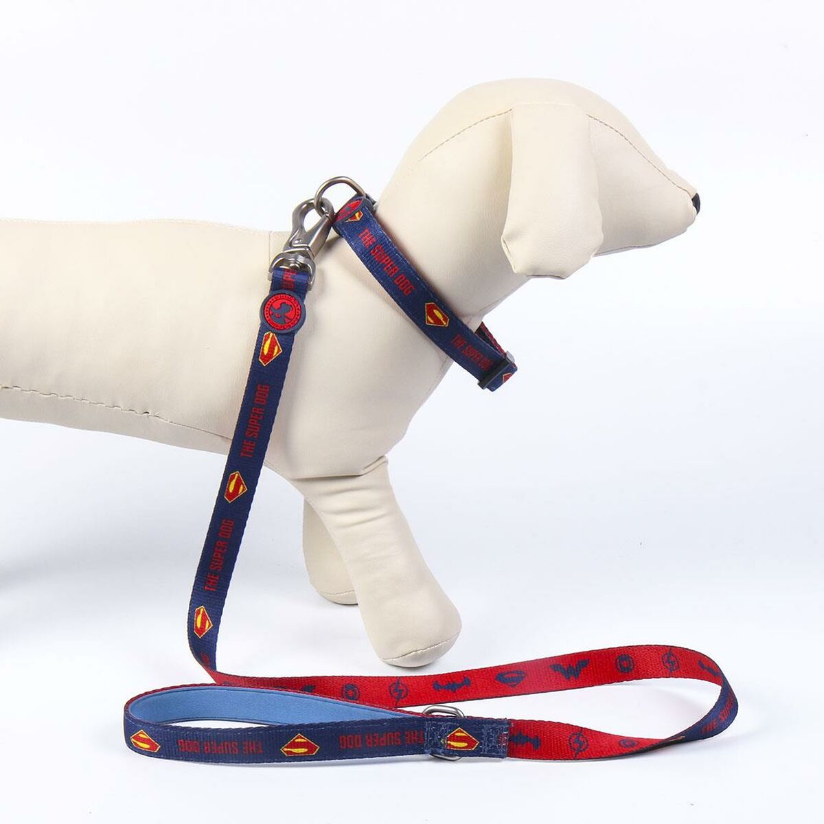 Collare per Cani DC Pets Azzurro M/L