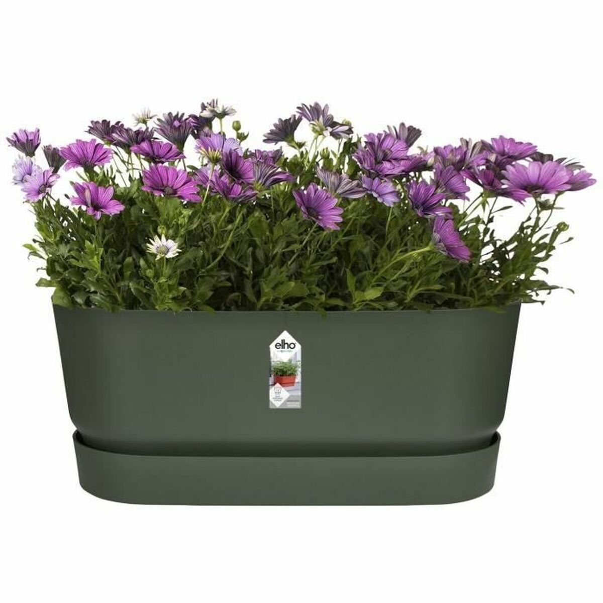 Vaso rettangolare da Balcone Elho   60 cm Verde Plastica