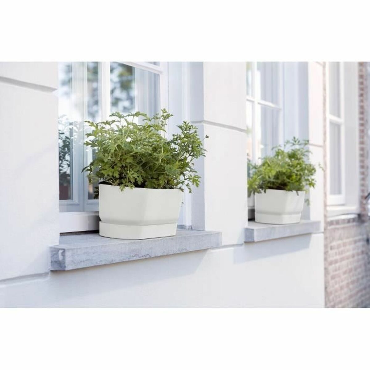 Vaso rettangolare da Balcone Elho   Bianco 70 cm Plastica