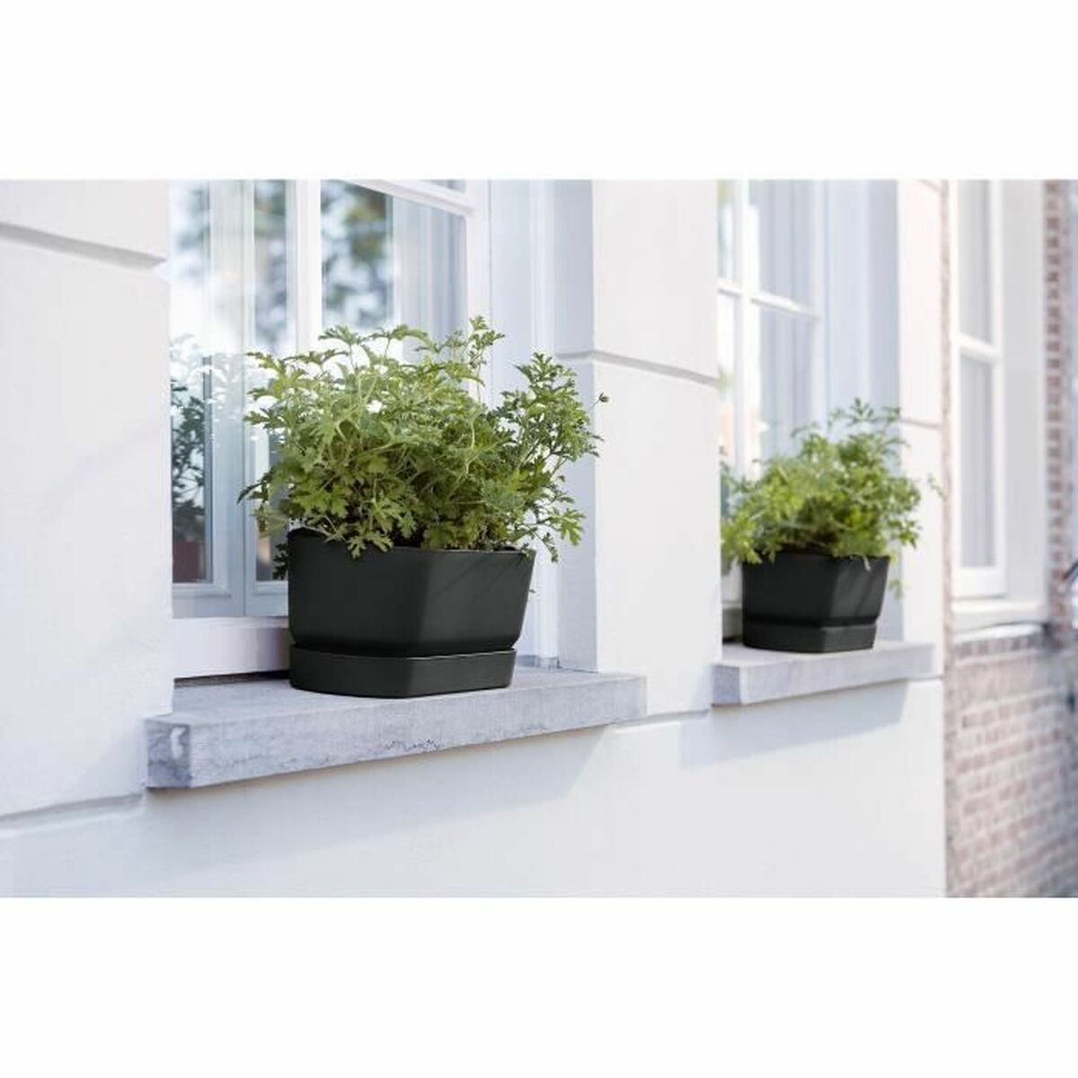 Vaso rettangolare da Balcone Elho   Nero 70 cm Plastica