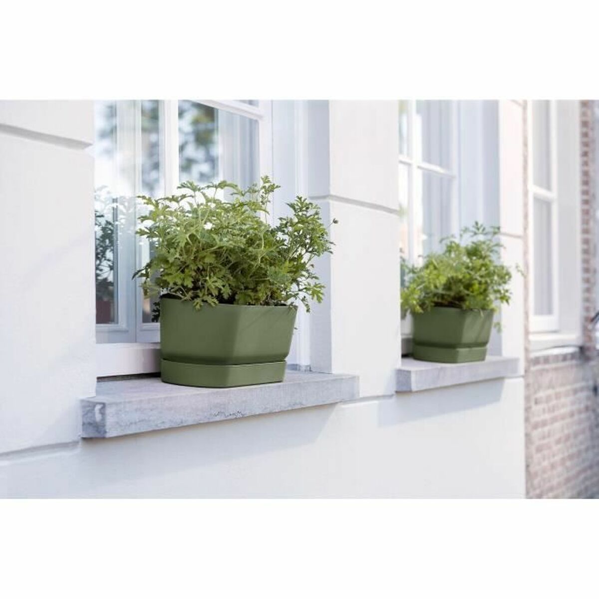 Vaso rettangolare da Balcone Elho   50 cm Nero Plastica