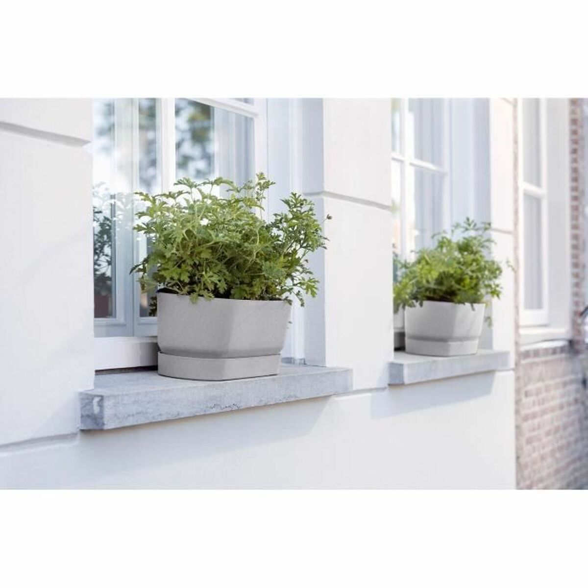 Vaso rettangolare da Balcone Elho   Grigio 70 cm Plastica