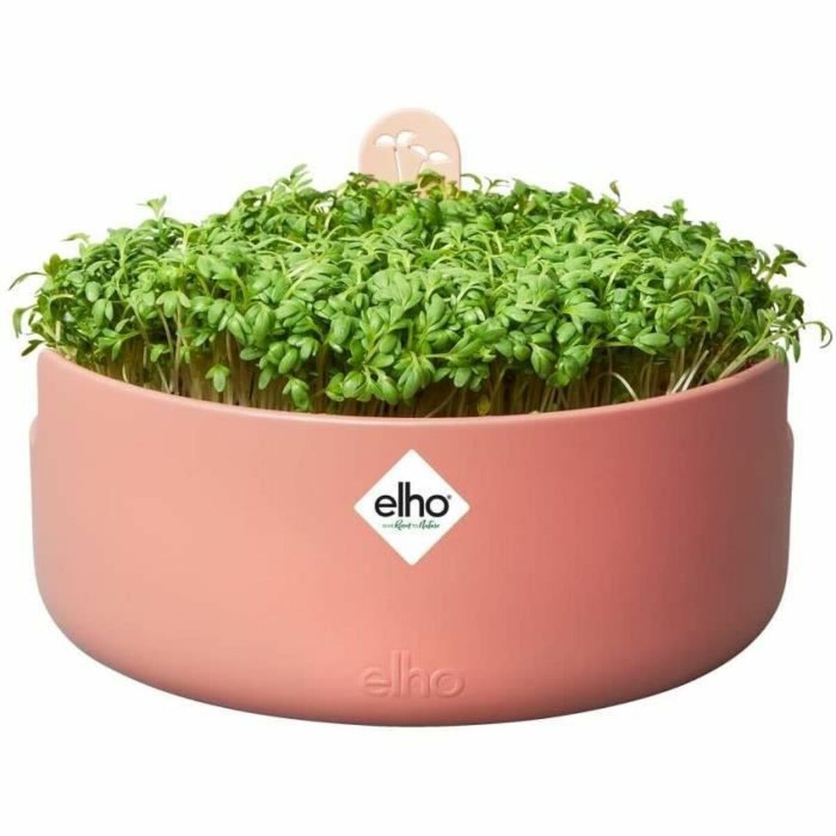 Vaso Elho Magic Microgreens  Rotonda Plastica Ø 16 cm