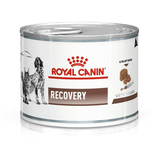 Cibo umido Royal Canin Recovery Uccelli Maiale 195 g