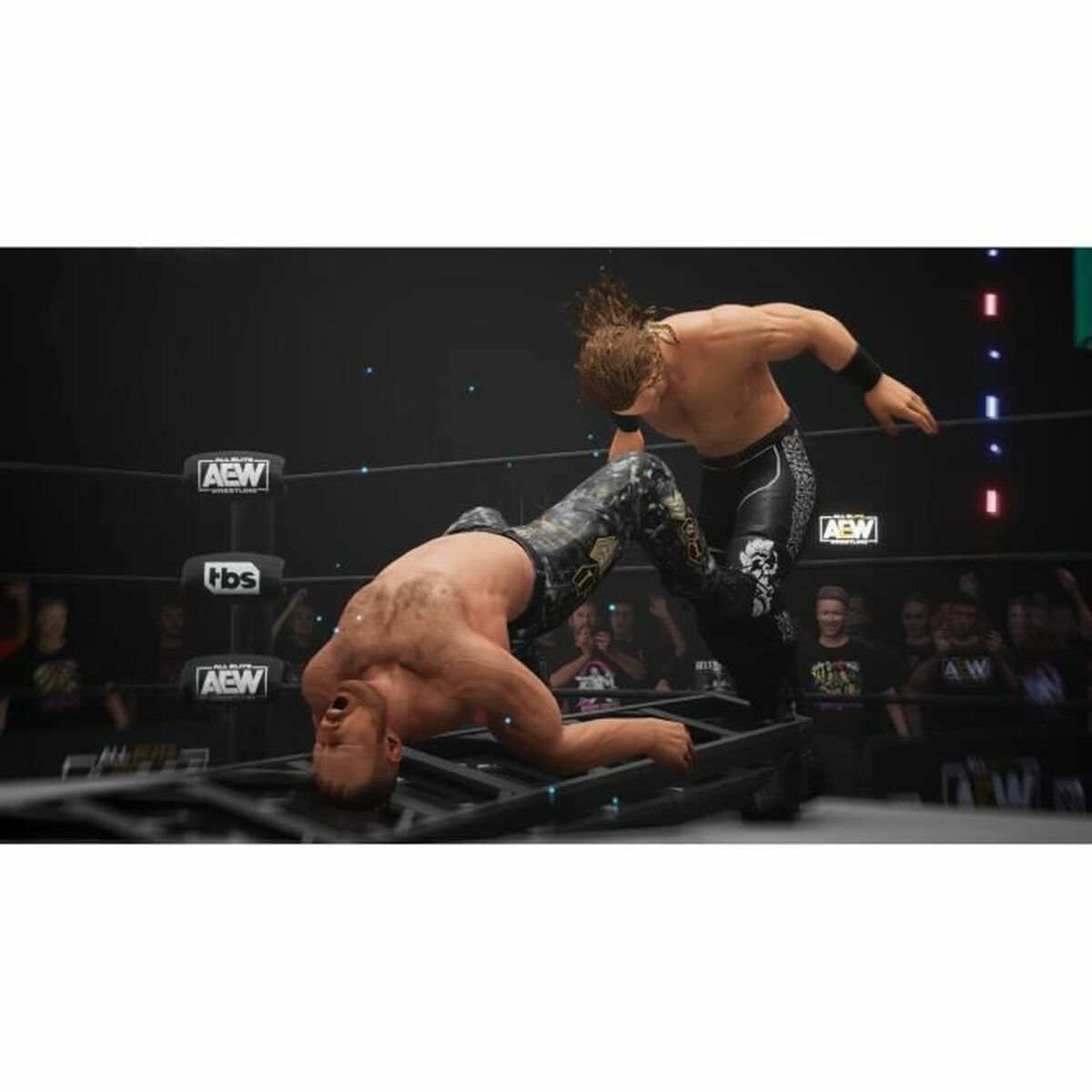 Videogioco PlayStation 5 THQ Nordic AEW All Elite Wrestling Fight Forever