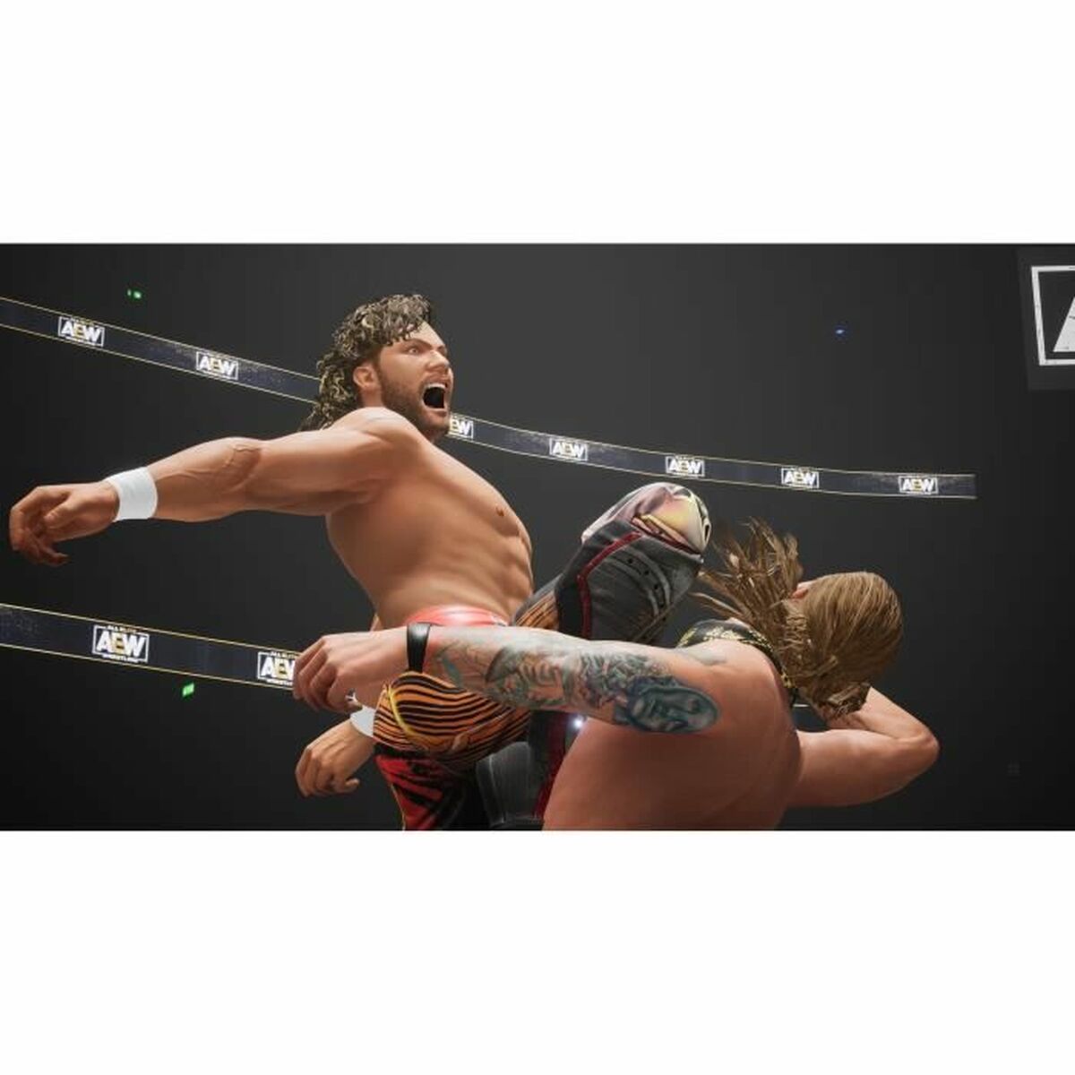 Videogioco per Switch THQ Nordic AEW All Elite Wrestling Fight Forever