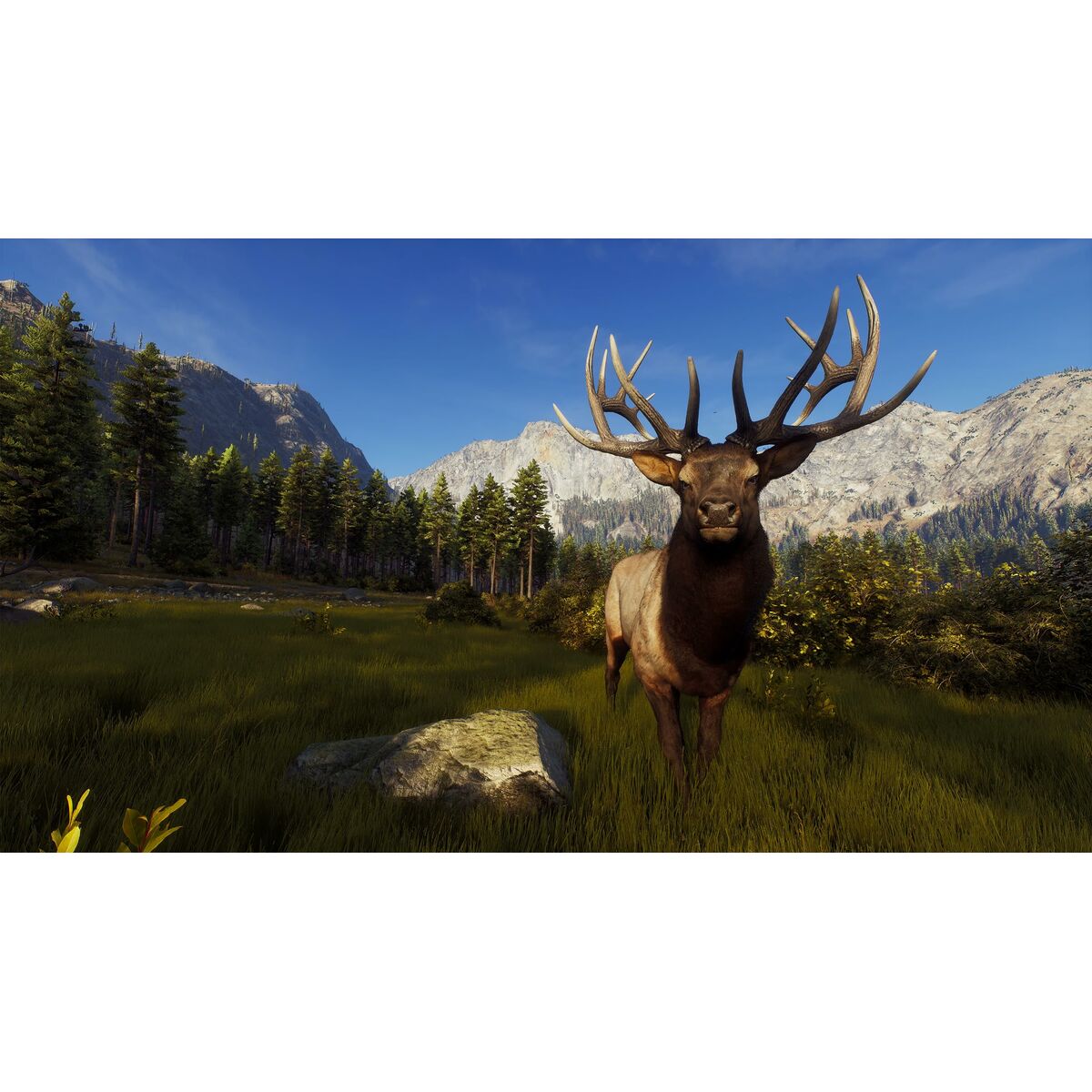 Videogioco PlayStation 5 THQ Nordic Way of the Hunter: Hunting Season One