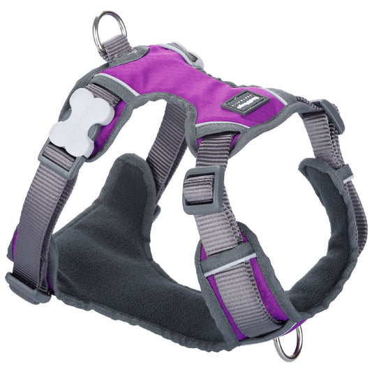 Imbracatura per Cani Red Dingo Dingo 25-36 cm 31-43 cm Viola XS