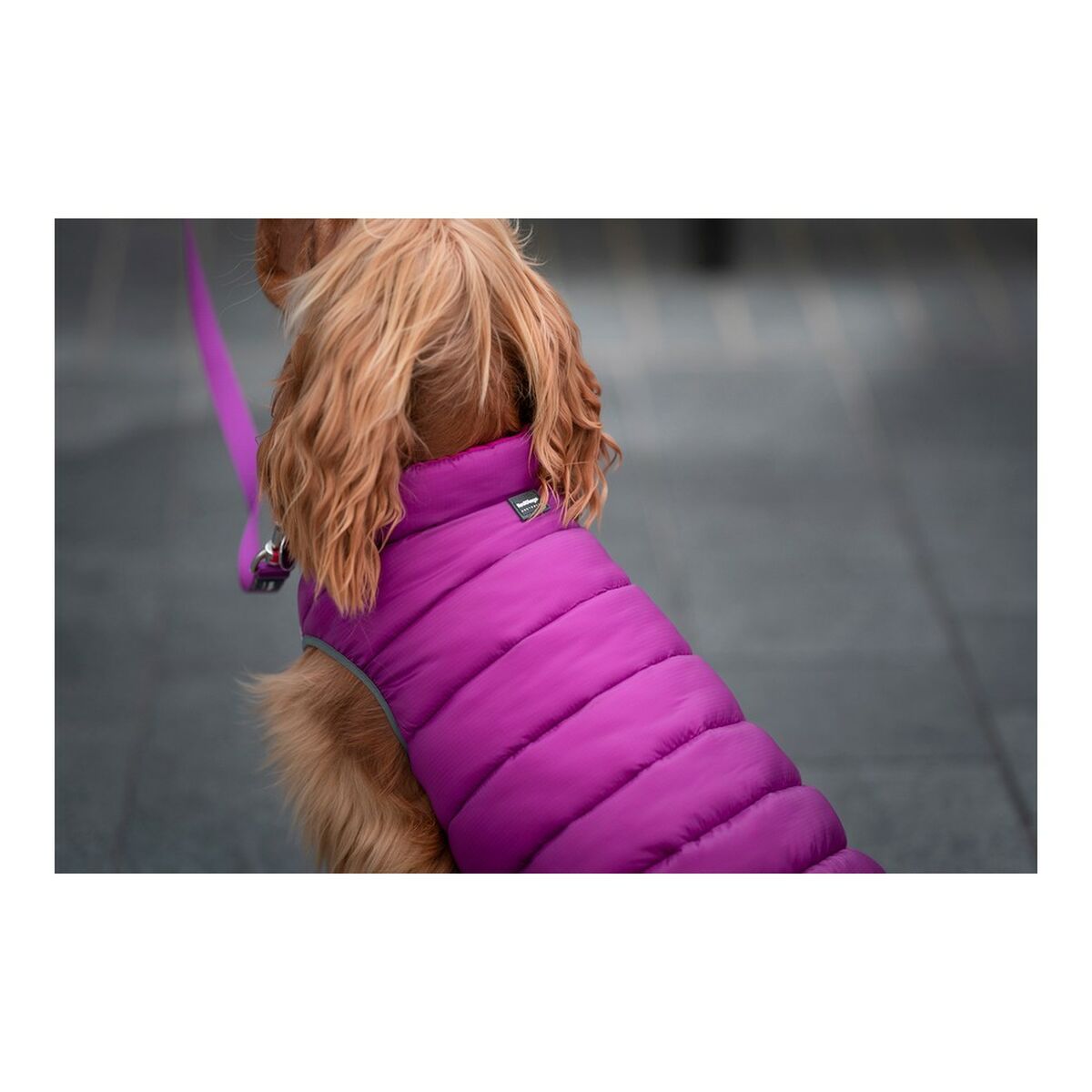 Cappotto per Cani Red Dingo Puffer Rosa/Viola 30 cm