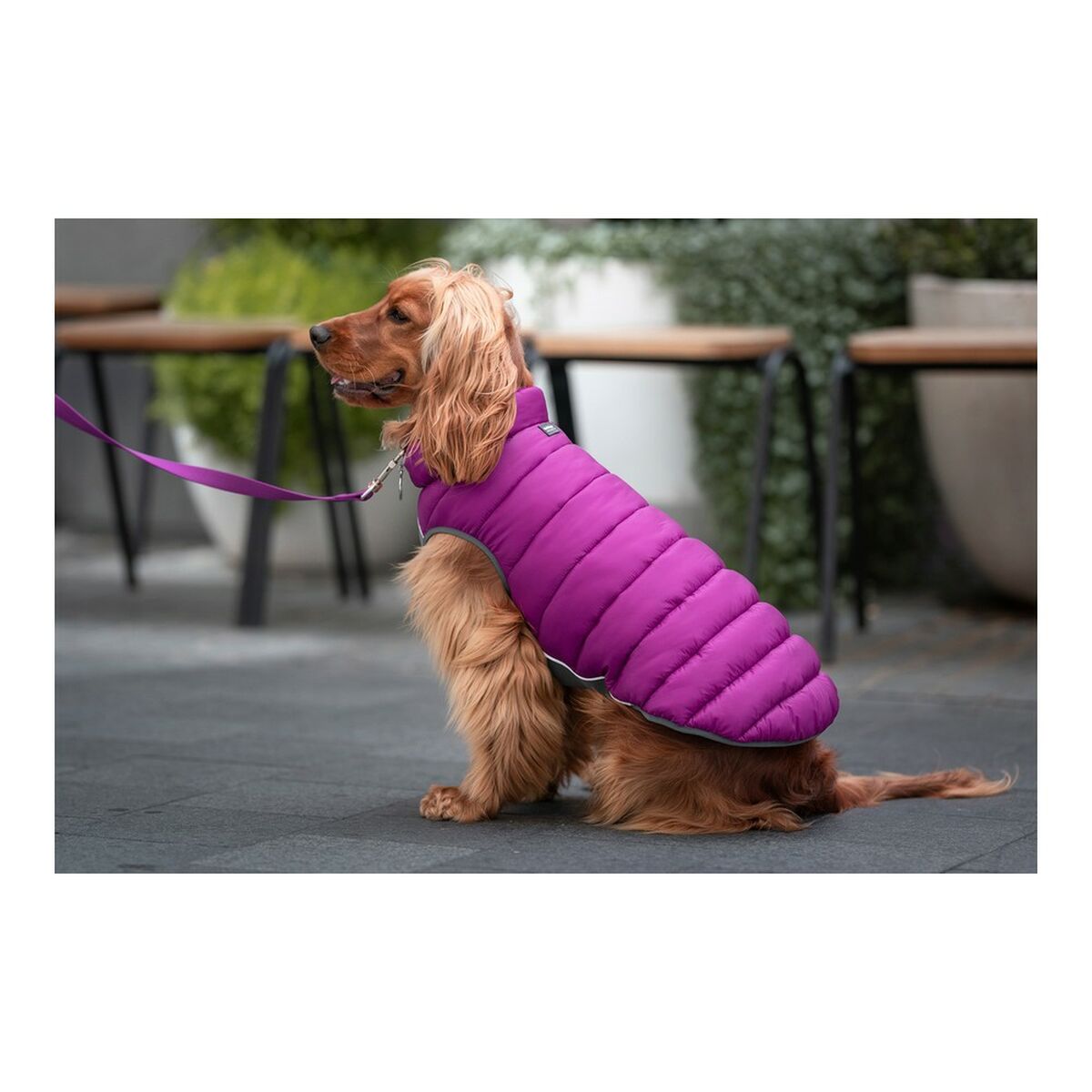 Cappotto per Cani Red Dingo Puffer Rosa/Viola 35 cm