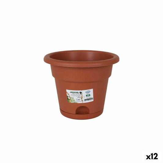 Vaso con Piatto Dem Greentime Marrone 20 x 20 x 16 cm (12 Unità)