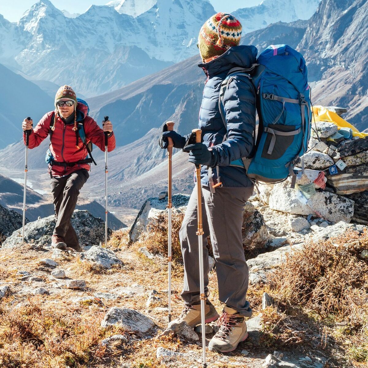 Bastone da Trekking Aktive (6 Unità)