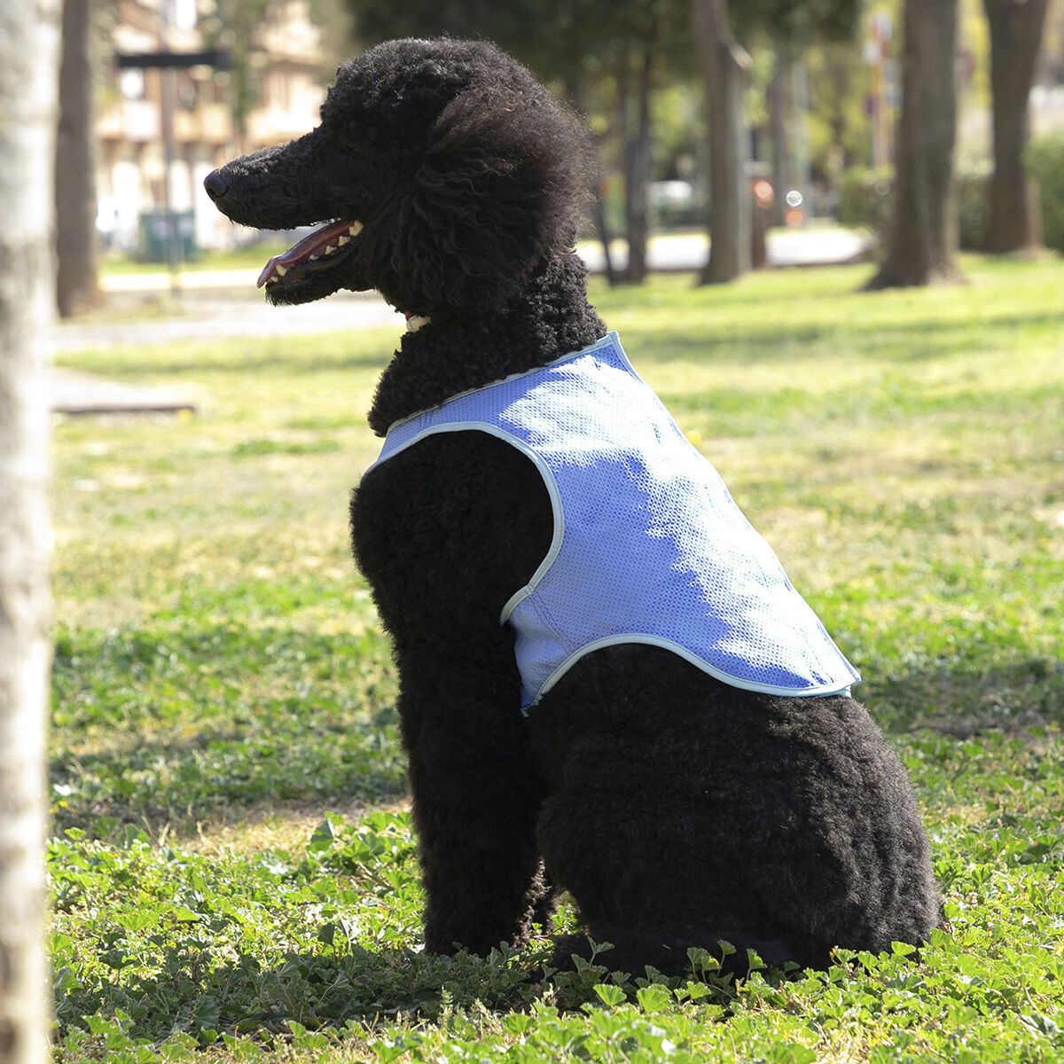 Gilet Rinfrescante per Animali Domestici Medi InnovaGoods - M